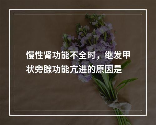 慢性肾功能不全时，继发甲状旁腺功能亢进的原因是