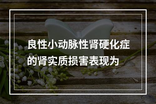 良性小动脉性肾硬化症的肾实质损害表现为