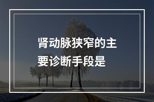 肾动脉狭窄的主要诊断手段是