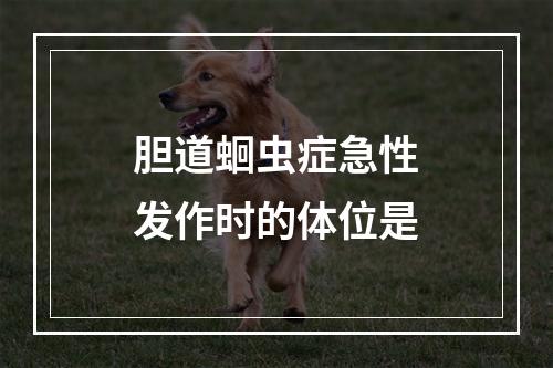 胆道蛔虫症急性发作时的体位是