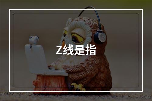 Z线是指