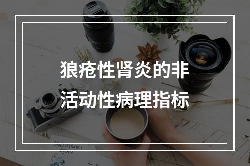 狼疮性肾炎的非活动性病理指标