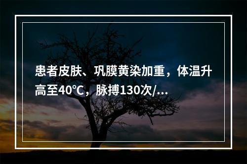 患者皮肤、巩膜黄染加重，体温升高至40℃，脉搏130次/分，