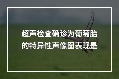 超声检查确诊为葡萄胎的特异性声像图表现是