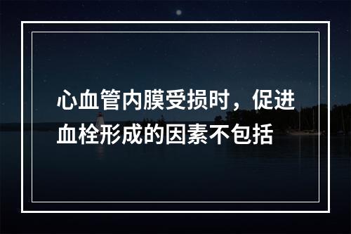 心血管内膜受损时，促进血栓形成的因素不包括