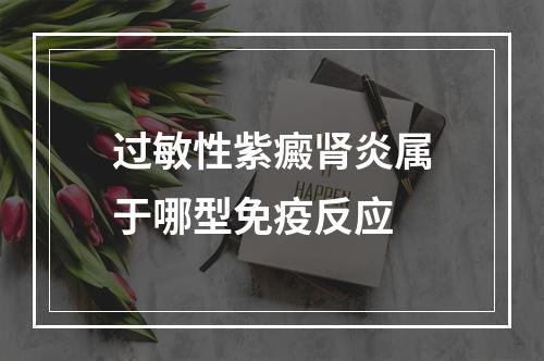 过敏性紫癜肾炎属于哪型免疫反应