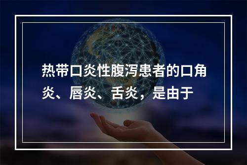 热带口炎性腹泻患者的口角炎、唇炎、舌炎，是由于