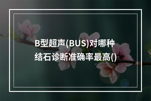 B型超声(BUS)对哪种结石诊断准确率最高()