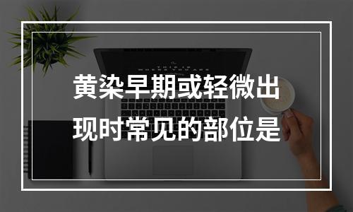 黄染早期或轻微出现时常见的部位是