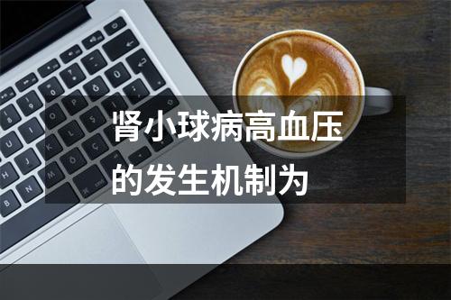 肾小球病高血压的发生机制为