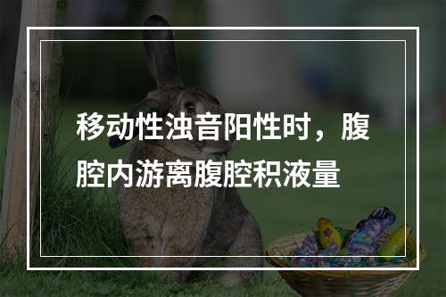 移动性浊音阳性时，腹腔内游离腹腔积液量