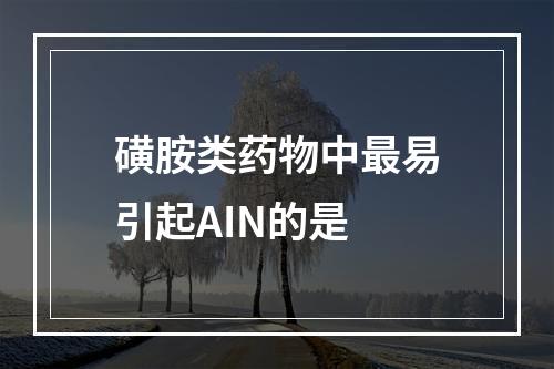 磺胺类药物中最易引起AIN的是