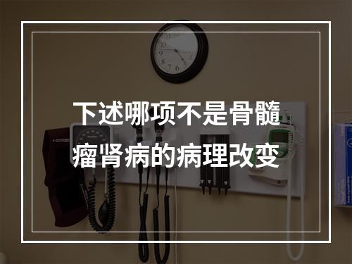 下述哪项不是骨髓瘤肾病的病理改变