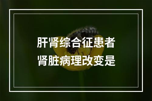 肝肾综合征患者肾脏病理改变是