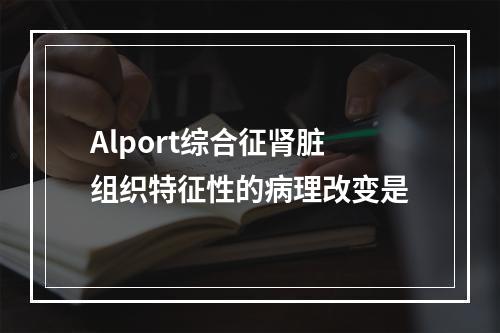 Alport综合征肾脏组织特征性的病理改变是