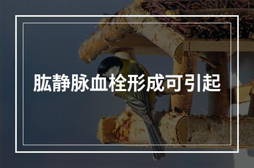 肱静脉血栓形成可引起