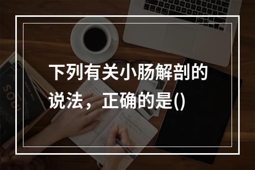 下列有关小肠解剖的说法，正确的是()