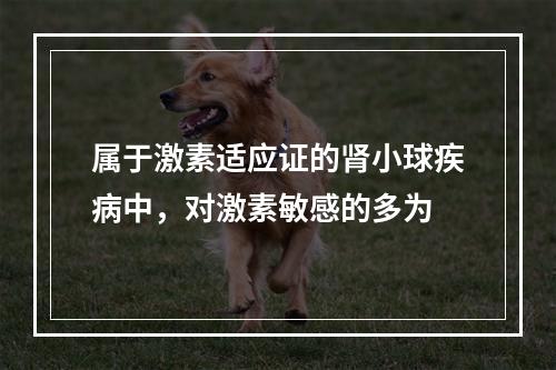 属于激素适应证的肾小球疾病中，对激素敏感的多为