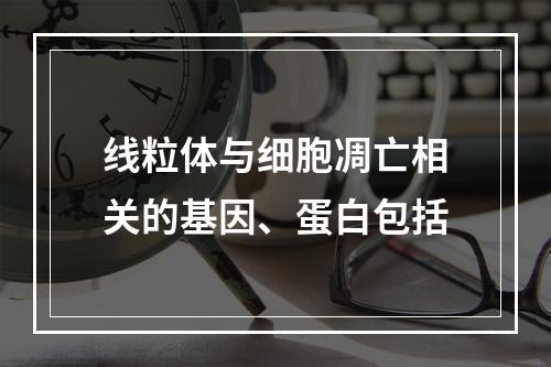 线粒体与细胞凋亡相关的基因、蛋白包括