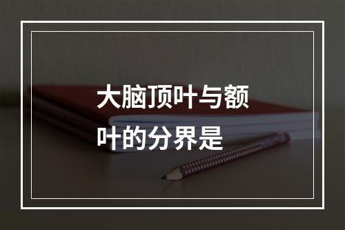 大脑顶叶与额叶的分界是