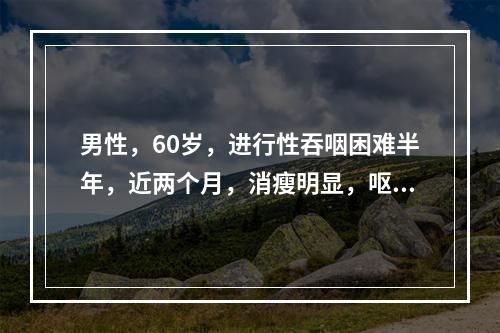 男性，60岁，进行性吞咽困难半年，近两个月，消瘦明显，呕吐，