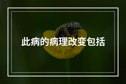 此病的病理改变包括