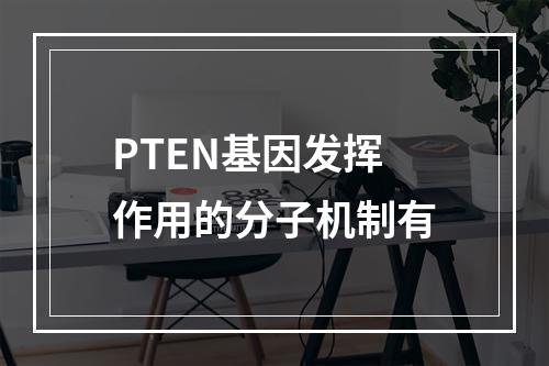 PTEN基因发挥作用的分子机制有