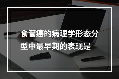 食管癌的病理学形态分型中最早期的表现是