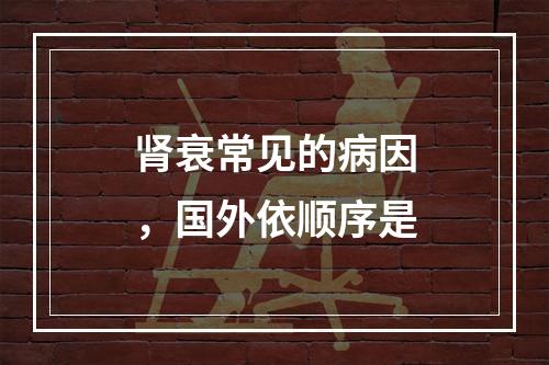 肾衰常见的病因，国外依顺序是