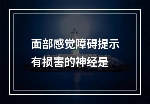 面部感觉障碍提示有损害的神经是