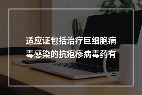 适应证包括治疗巨细胞病毒感染的抗疱疹病毒药有