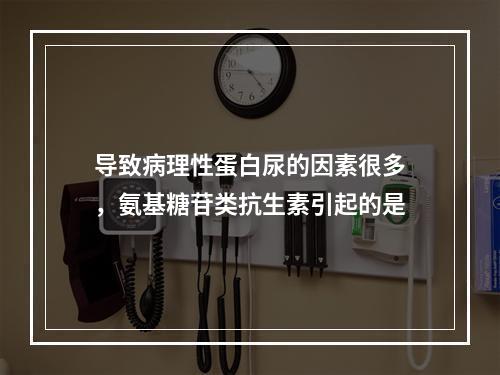 导致病理性蛋白尿的因素很多，氨基糖苷类抗生素引起的是