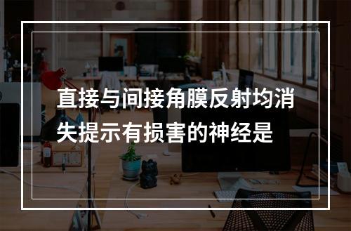 直接与间接角膜反射均消失提示有损害的神经是