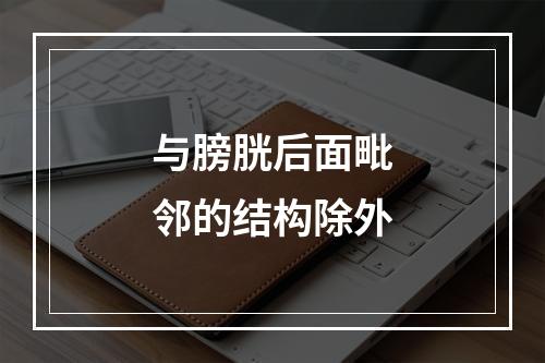 与膀胱后面毗邻的结构除外