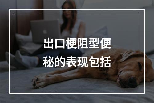 出口梗阻型便秘的表现包括