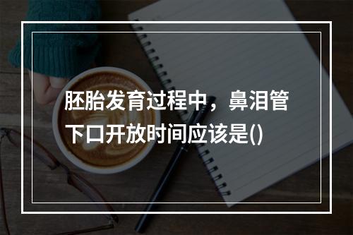 胚胎发育过程中，鼻泪管下口开放时间应该是()