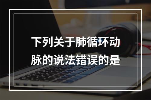 下列关于肺循环动脉的说法错误的是