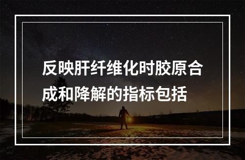 反映肝纤维化时胶原合成和降解的指标包括