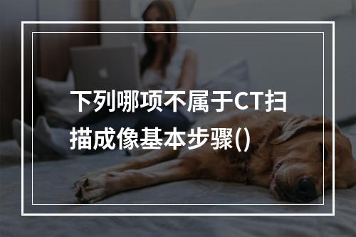 下列哪项不属于CT扫描成像基本步骤()