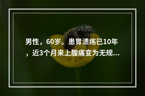 男性，60岁。患胃溃疡已10年，近3个月来上腹痛变为无规律，