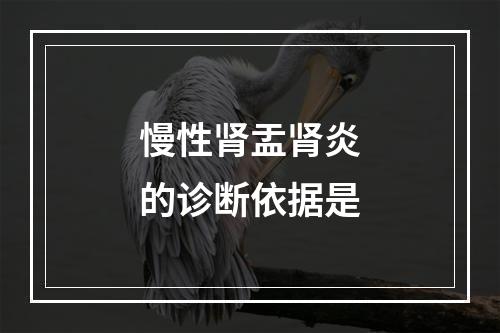 慢性肾盂肾炎的诊断依据是