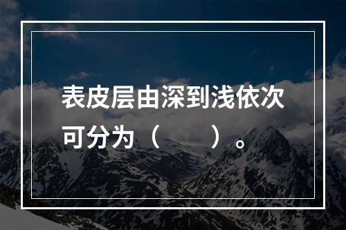 表皮层由深到浅依次可分为（　　）。