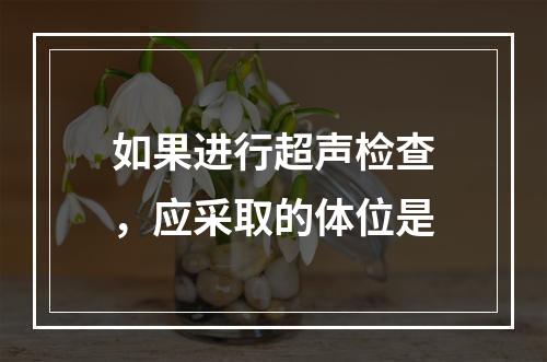 如果进行超声检查，应采取的体位是