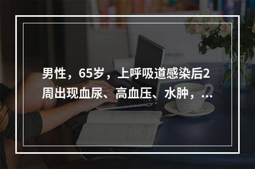 男性，65岁，上呼吸道感染后2周出现血尿、高血压、水肿，数日