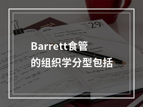 Barrett食管的组织学分型包括