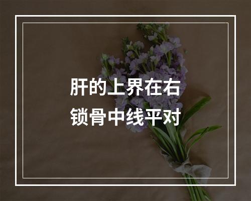 肝的上界在右锁骨中线平对