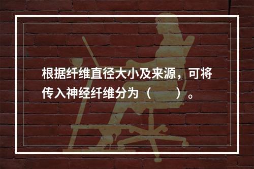 根据纤维直径大小及来源，可将传入神经纤维分为（　　）。