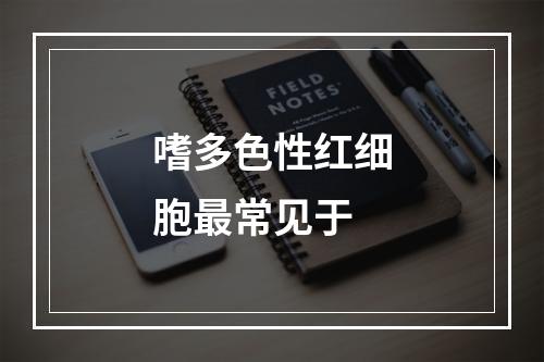 嗜多色性红细胞最常见于