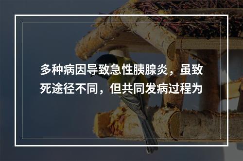 多种病因导致急性胰腺炎，虽致死途径不同，但共同发病过程为