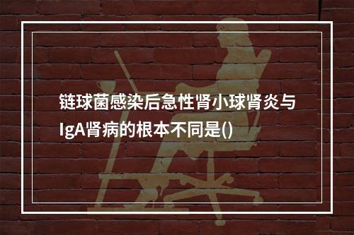 链球菌感染后急性肾小球肾炎与IgA肾病的根本不同是()